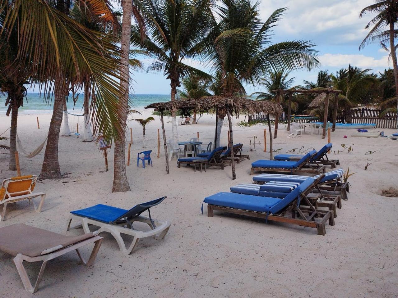 Casa Mate Beachfront Houses Эль-Куйо Экстерьер фото